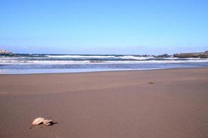 zanderig strand Aan de kanarie eilanden foto