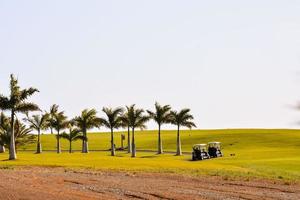 landschap Aan de kanarie eilanden foto