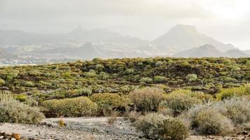 landschap Aan de kanarie eilanden foto