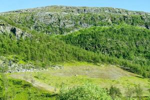 landschap in Zweden, Europa foto