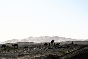 uitzicht op woestijnlandschap foto