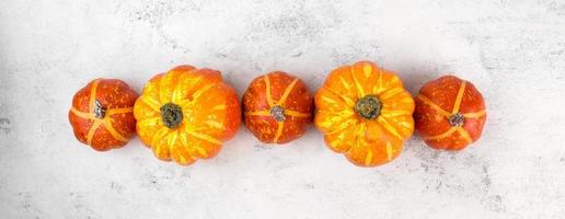 thanskgiving vlak leggen met geel en oranje pompoenen Aan bodem grens tegen wit achtergrond.halloween,oogst. concepten. foto