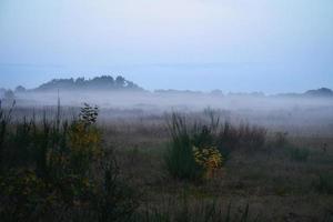 voor land- met mist Aan gras en heide in Denemarken, in voorkant van duinen. mystiek humeur foto