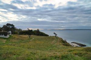 gejaagd, Denemarken Aan de klif met uitzicht de zee met boom Aan de afgrond foto