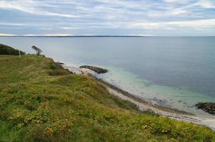 gejaagd, Denemarken Aan de klif met uitzicht de zee. Baltisch zee kust, met gras begroeid foto