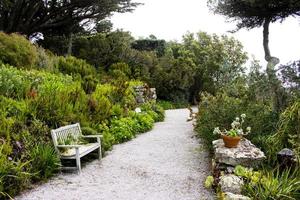 tropisch tuin in de eilanden van scilly foto