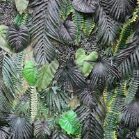 tropisch groen bladeren achtergrond, varen, palm en monstera deliciosa blad Aan muur foto