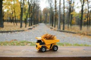 een klein speelgoed- geel vrachtauto is geladen met geel gedaald bladeren. de auto staat Aan een houten oppervlakte tegen een achtergrond van een wazig herfst park. schoonmaak en verwijdering van gedaald bladeren. seizoensgebonden werken foto