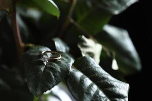 luxe verloving diamant ring in sieraden. bruiloft goud ring met diamant leugens Aan een blad van een roos. een ringen liggen Aan de bladeren van een sappig foto