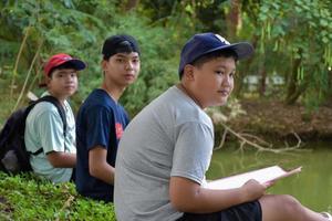 drie Aziatisch jongens lezing vogelstand details en gaan naar gebruik kijker naar kijk maar vogelstand Aan de bomen gedurende zomer kamp, idee voor aan het leren schepsels en dieren in het wild dieren buiten de klas. foto