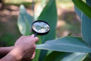 een klein zwart vergroten bril Holding in handen en waren gebruikt gedurende de zomer kamp naar studie micro-organismen in planten en planten ziekten. foto