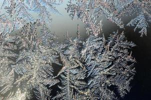 sneeuwvlokken vorst rijmen macro Aan venster glas deelvenster foto