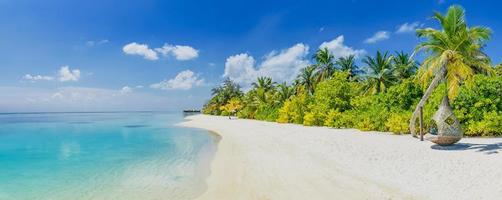 mooi tropisch strand landschap spandoek. wit zand en kokosnoot palmen breed panorama achtergrond concept. verbazingwekkend strand tafereel gebruik voor zomer vakantie en exotisch vakantie, luxe reizen toerisme bestemming foto