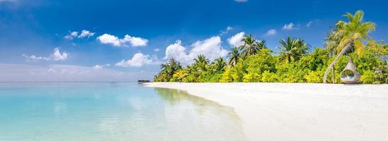 mooi tropisch strand spandoek. wit zand en kokosnoot palmen reizen toerisme breed panoramisch achtergrond concept. verbazingwekkend strand landschap, blauw lucht, palm bomen onder zonnig lucht. exotisch strand panorama foto