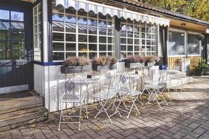 wijnoogst bewerkt ijzer tuin tafel en stoelen in openbaar cafe in een herfst- tuin foto