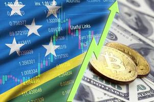 Solomon eilanden vlag en cryptogeld groeit neiging met twee bitcoins Aan dollar rekeningen foto
