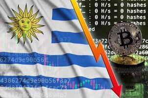 Uruguay vlag en vallend rood pijl Aan bitcoin mijnbouw scherm en twee fysiek gouden bitcoins foto