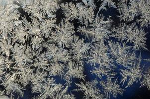 sneeuwvlokken vorst rijmen macro Aan venster glas deelvenster foto