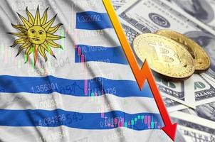 Uruguay vlag en cryptogeld vallend neiging met twee bitcoins Aan dollar rekeningen foto