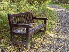 houten bank in een park gedekt in gedaald herfst bladeren foto