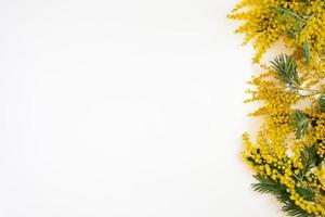 bloemen kader van geel mimosa takken Aan wit achtergrond. bloemen van vrouw dag. vlak leggen, top visie. foto