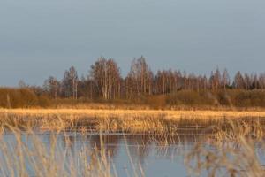 overstroomd weiden in voorjaar foto