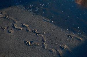 voetstappen in de zand Aan de strand, zanderig strand, zee golven. foto