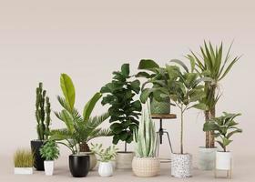 huis planten in potten Aan beige achtergrond met kopiëren ruimte voor uw advertentie tekst of logo. planten op te slaan, groen interieur details. ingemaakt planten uitverkoop. 3d weergave. foto