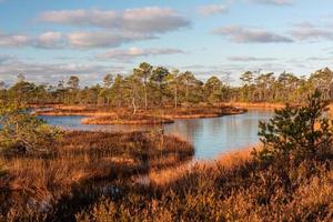 voorjaar in de moeras meren foto