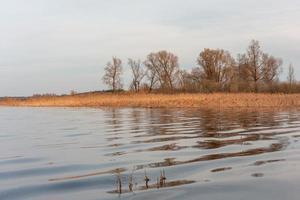 overstroomd weiden in voorjaar foto