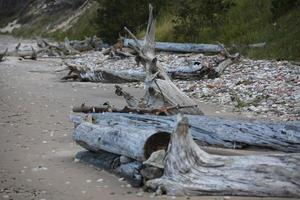 Baltische Zeekust foto