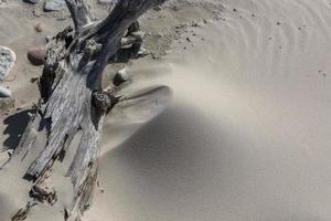 patronen in de strand zand foto