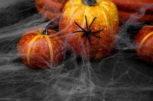 spin zittend Aan pompoen gedekt in web. spookachtig halloween achtergrond foto