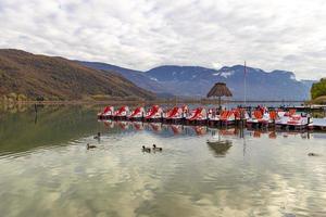 Kaltern zuiden Tirol, Italië -14 november 2022 mannetje en vrouw wilde eenden anas platyrhynchos gezien in herfst Bij meer caldaro, een natuurlijk het baden meer met pedaal boot verhuur foto