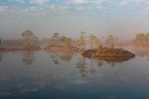 voorjaar in de moeras meren foto