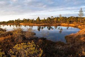 voorjaar in de moeras meren foto