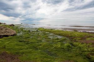 stenen Aan de kust van de Baltisch zee Bij zonsondergang foto