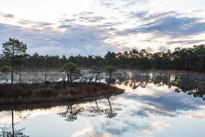 voorjaar in de moeras meren foto