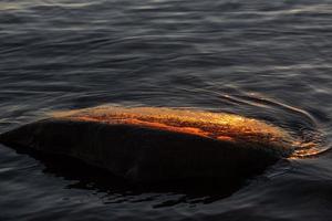 zonsondergang kleuren in de zee stenen foto