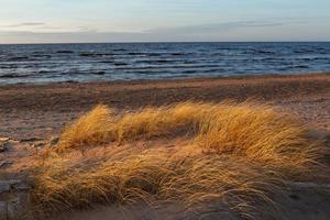 Baltisch zee kust met steentjes en ijs Bij zonsondergang foto