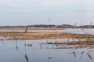 overstroomd weiden in voorjaar foto