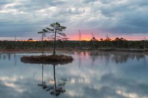 voorjaar in de moeras meren foto