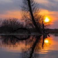 overstroomd weiden in voorjaar foto