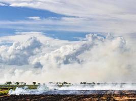 Open brandend Aan de rijst- velden foto