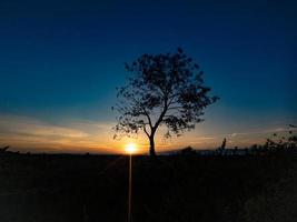 boom silhouet met zonsopkomst in de ochtend- foto