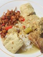 foto van een bord van eigengemaakt voedsel, rijst- met kant gerechten van gerookt vis, tofu en tempeh