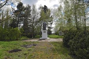 cenotaaf. monument in eer van de geheugen. foto