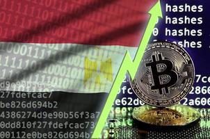 Egypte vlag en stijgende lijn groen pijl Aan bitcoin mijnbouw scherm en twee fysiek gouden bitcoins foto