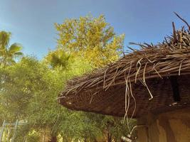 zuiden strand zomer tijd vakantie seizoen toneel- visie van palm bomen en rietje paraplu Aan Doorzichtig lucht achtergrond, kopiëren ruimte. foto