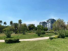 stadsgezicht met zon straal over- de wolkenkrabber en tropisch park foto